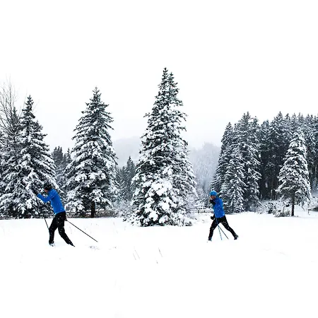 Seebichl Adults Only Designhotel - Pool & Dine 3*